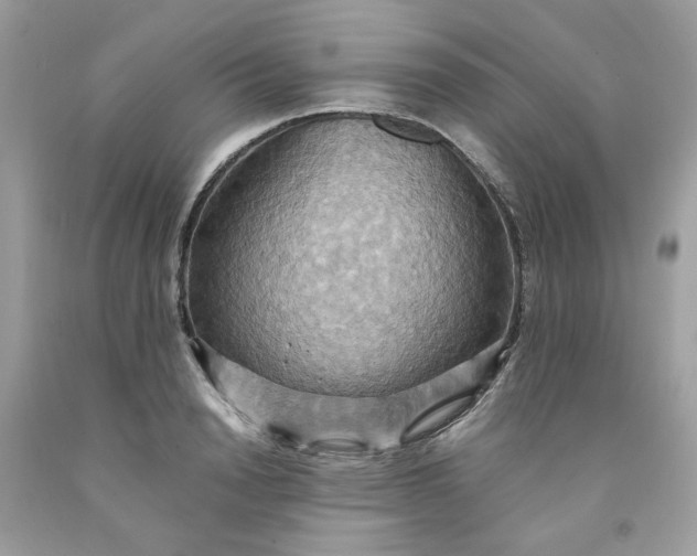 X0000091580846200709051059