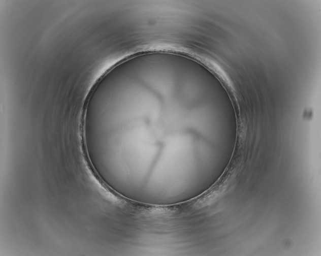 X0000091580847200709051059