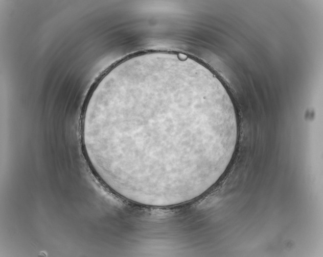 X0000091580848200709051059