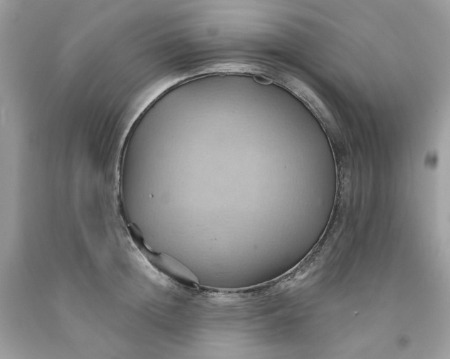 X0000091580852200709051059