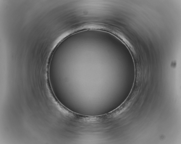 X0000091580853200709051059