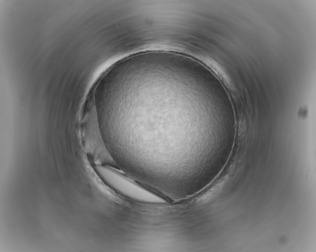 X0000091580854200709051059