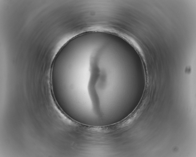 X0000091580855200709051059