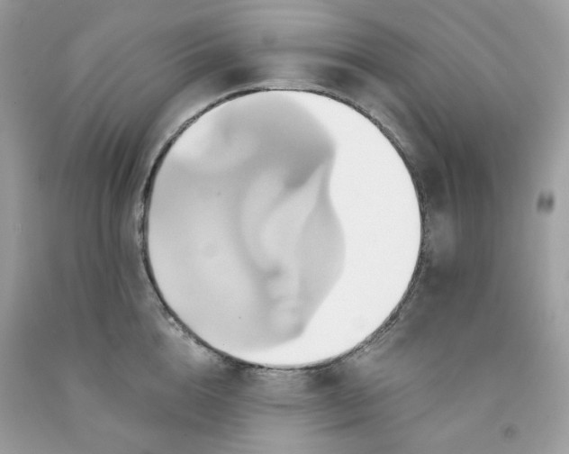 X0000091580856200709051059