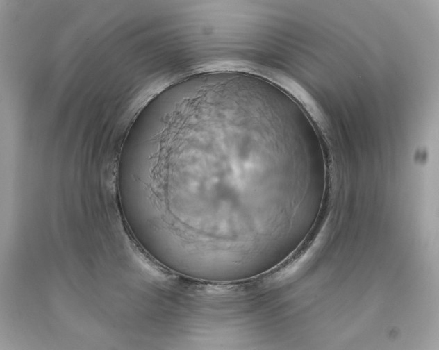 X0000091580857200709051059