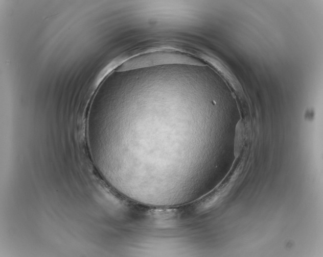 X0000091580858200709051059