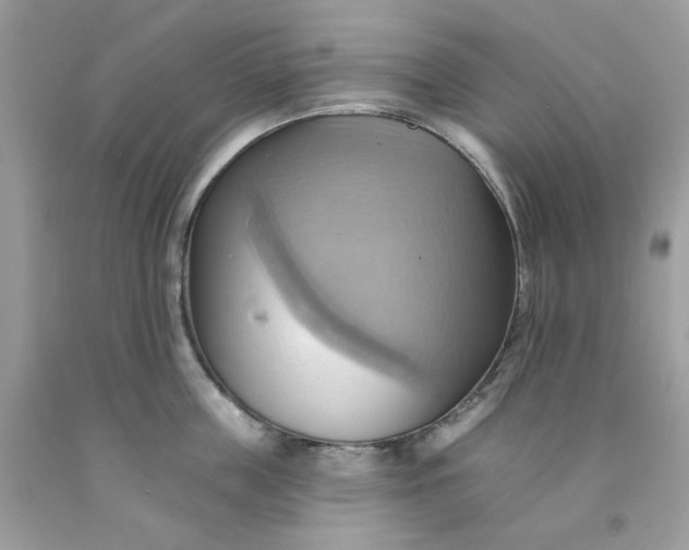 X0000091580859200709051059