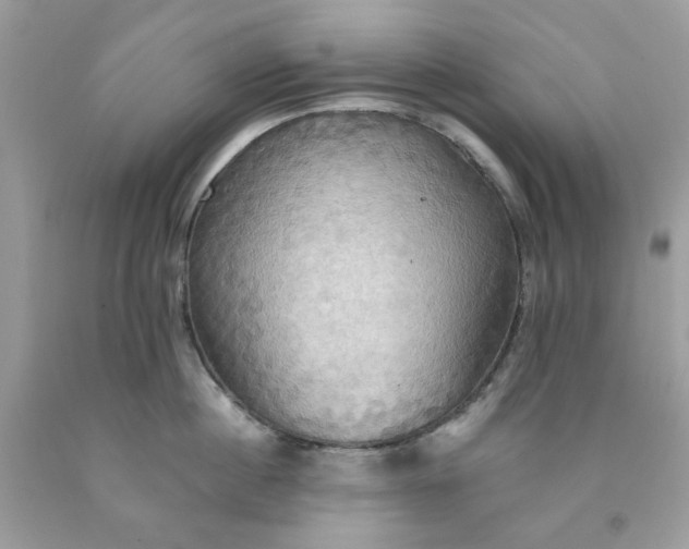 X0000091580860200709051059