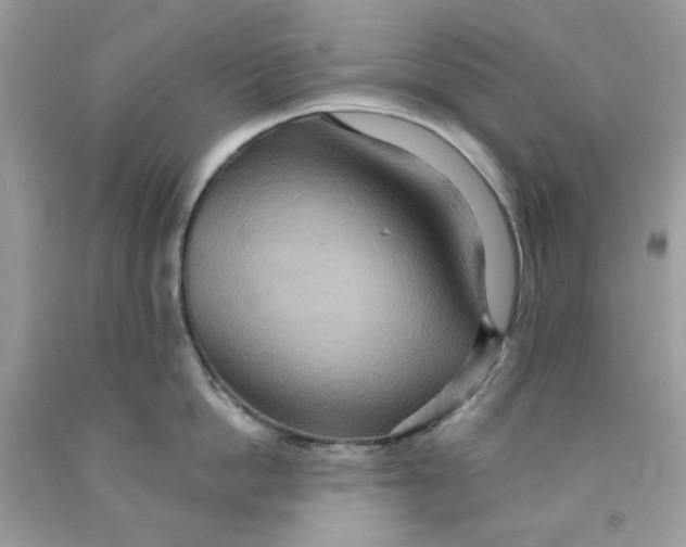 X0000091580862200709051059