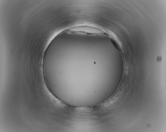 X0000091580863200709051059