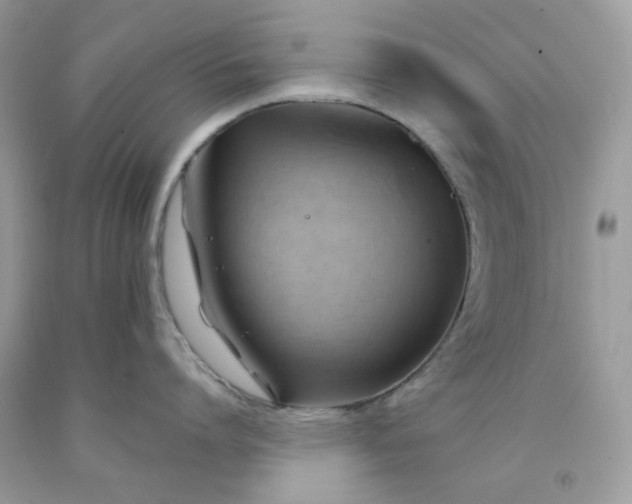 X0000091580864200709051059