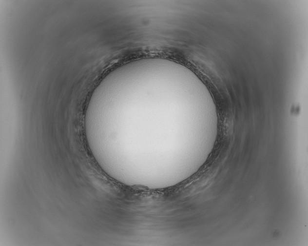 X0000091580865200709051058