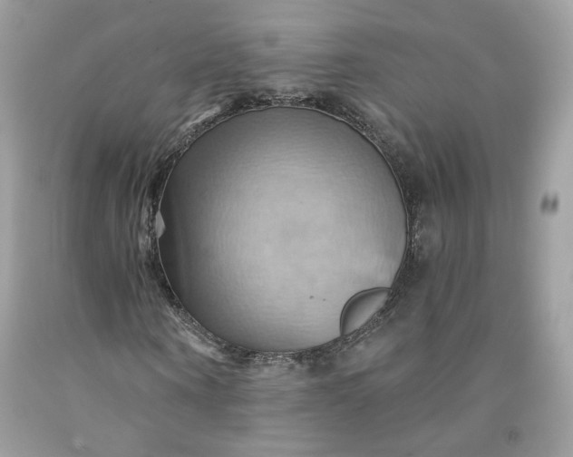 X0000091580866200709051058