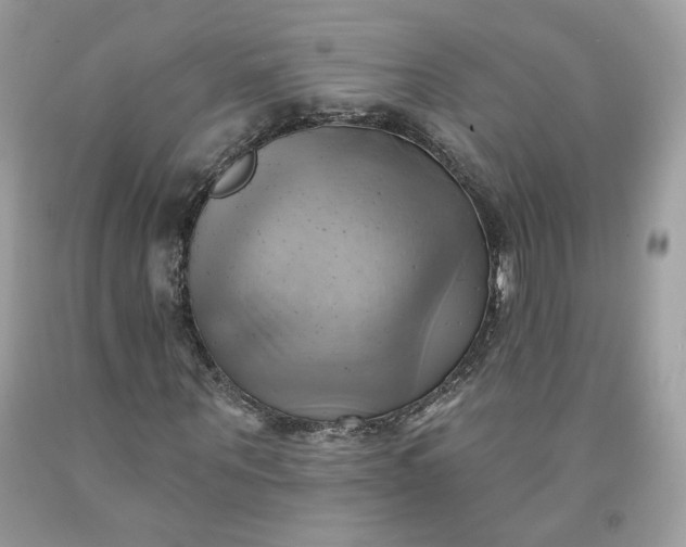 X0000091580867200709051058