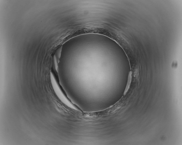 X0000091580868200709051058