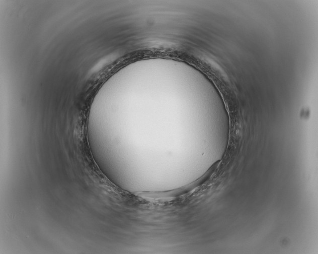 X0000091580869200709051058