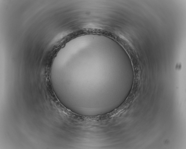 X0000091580870200709051058