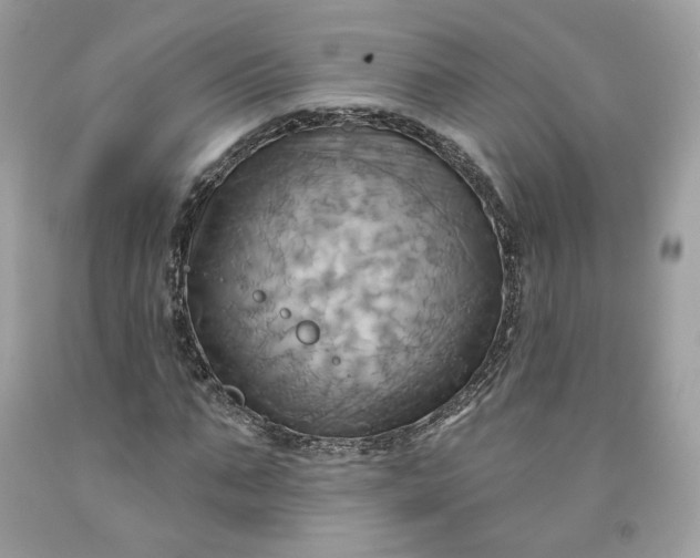 X0000091580871200709051058