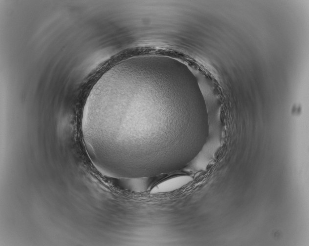 X0000091580872200709051058