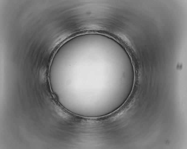 X0000091580873200709051058