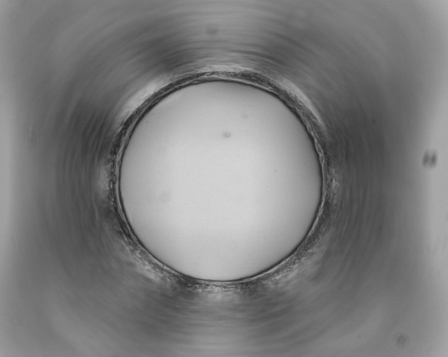 X0000091580874200709051058