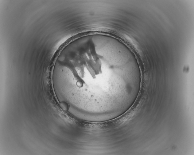 X0000091580875200709051058