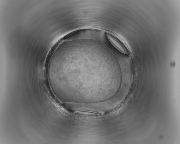 X0000091580876200709051058