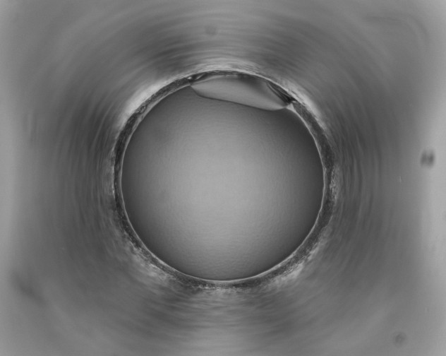 X0000091580877200709051058