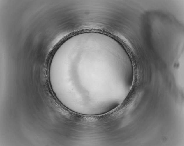 X0000091580878200709051058