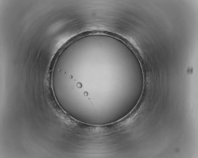 X0000091580879200709051058