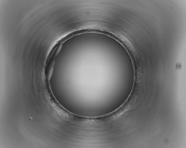 X0000091580880200709051058