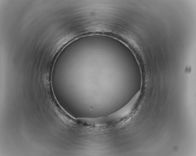 X0000091580881200709051058