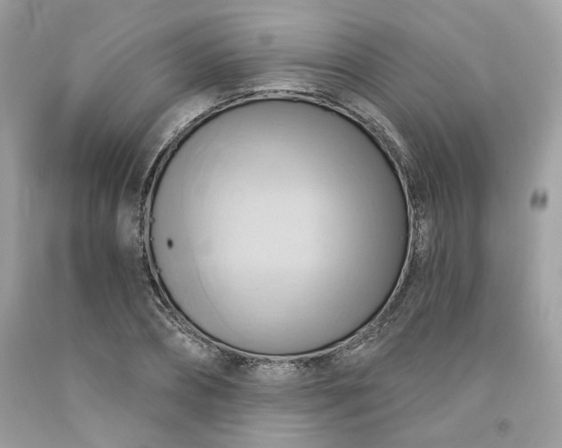 X0000091580882200709051058