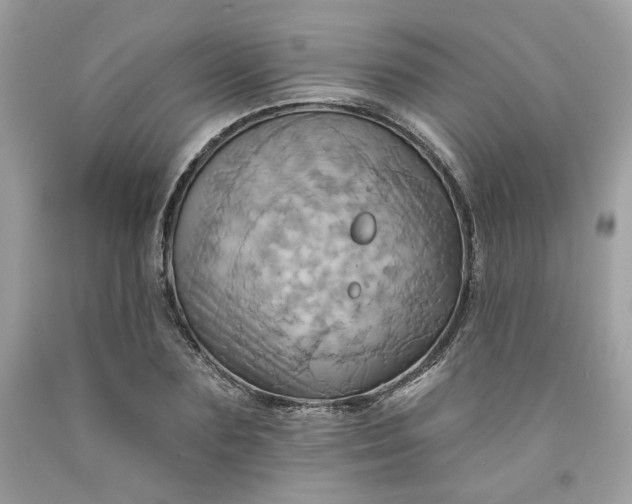 X0000091580883200709051058