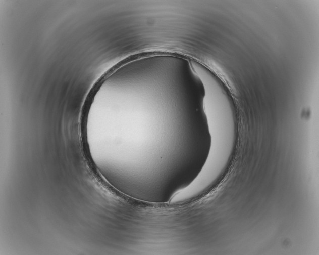 X0000091580884200709051058