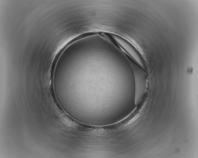 X0000091580885200709051058