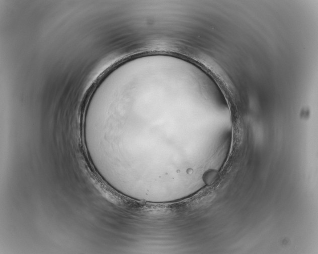 X0000091580886200709051058