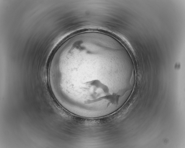 X0000091580887200709051058