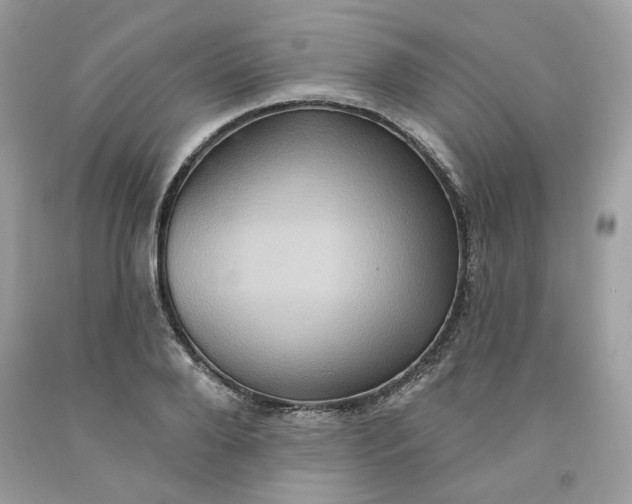 X0000091580888200709051058