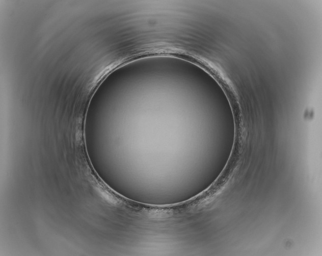 X0000091580889200709051058