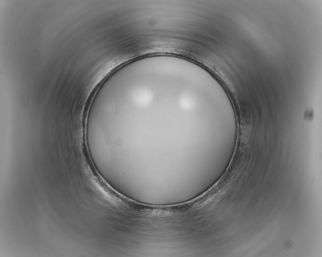 X0000091580890200709051058