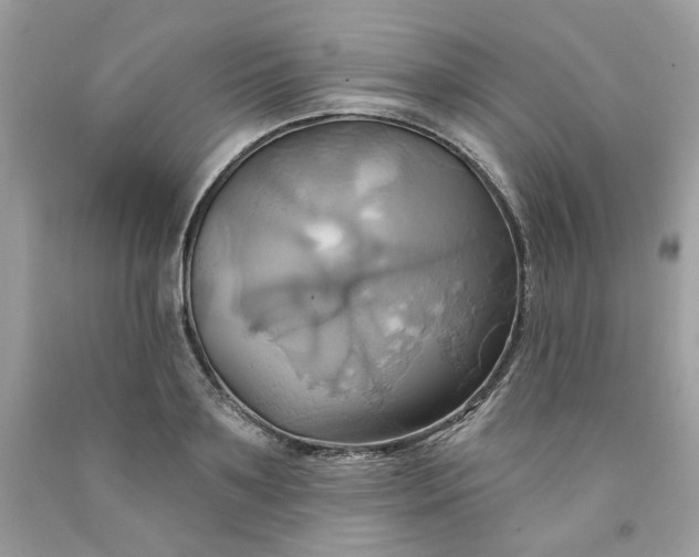 X0000091580891200709051058