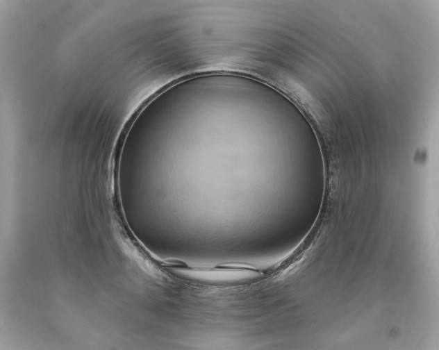 X0000091580892200709051058