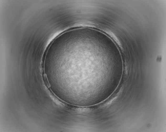 X0000091580893200709051058