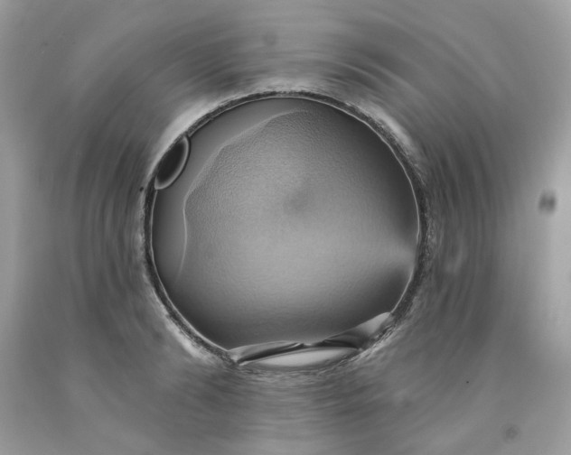 X0000091580894200709051058