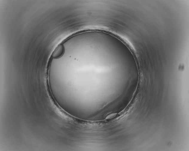 X0000091580895200709051058