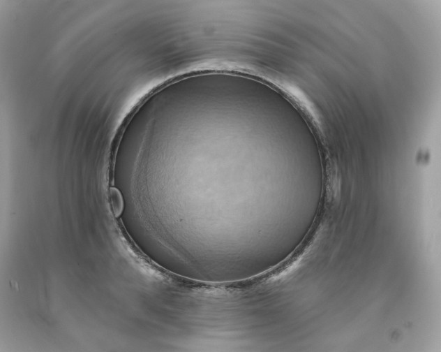 X0000091580896200709051058