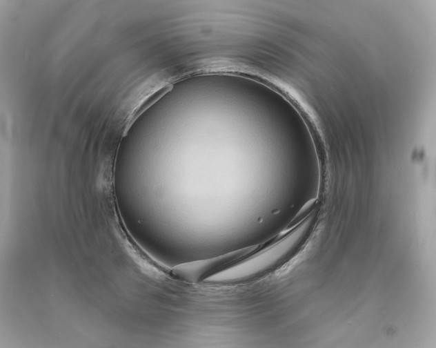 X0000091580897200709051058