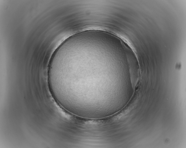 X0000091580898200709051058