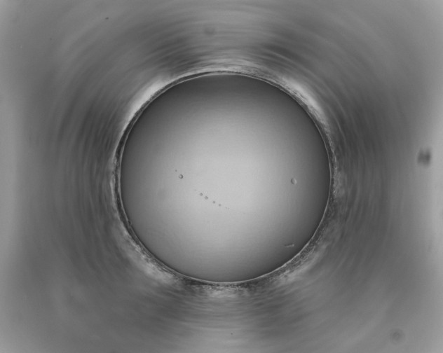 X0000091580899200709051058